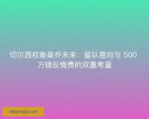 切尔西权衡桑乔未来：留队意向与 500 万镑反悔费的双重考量