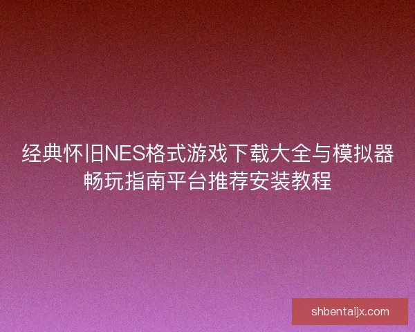 经典怀旧NES格式游戏下载大全与模拟器畅玩指南平台推荐安装教程 经典怀旧NES格式游戏下载大全与模拟器畅玩指南平台推荐安装教程
